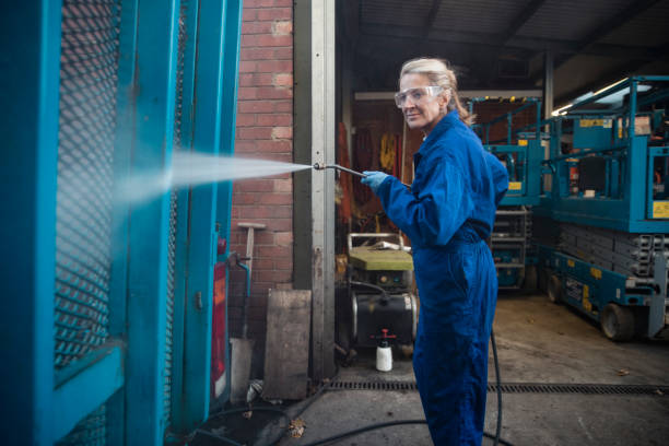 Best Best Pressure Washing Companies  in Royalton, IL