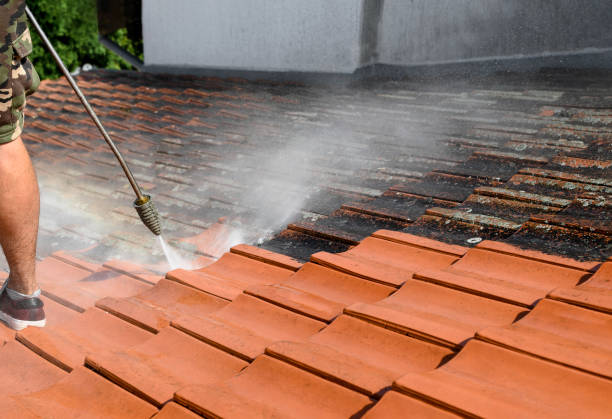 Best Pressure Washing Near Me  in Royalton, IL