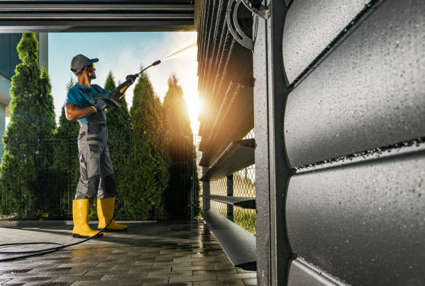 Best Pressure Washing Cost  in Royalton, IL