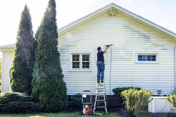 Best Pressure Washing Contractors  in Royalton, IL