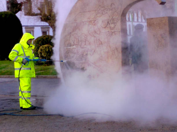 Best Pressure Washing Company Near Me  in Royalton, IL