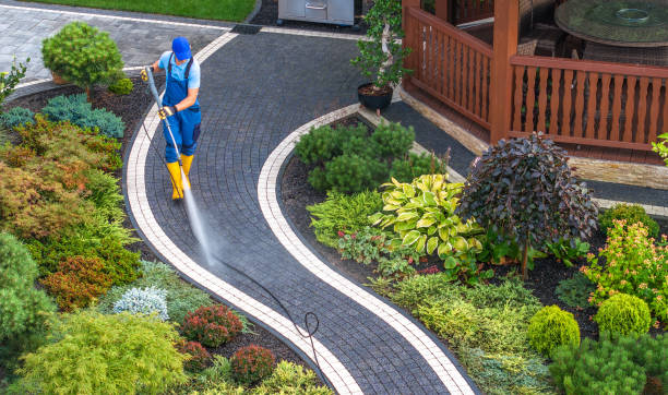 Best Pressure Washing Brick  in Royalton, IL