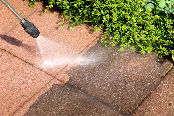Best Local Pressure Washing Services  in Royalton, IL